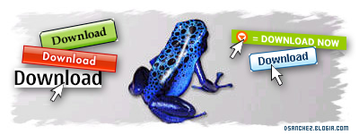 Bittorrent y las descargas en Internet