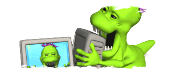 Comentar aqu&iacute; cualquier problema